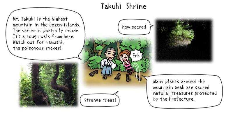 Mt. Takuhi is the highest mountain in the Dozen islands. The shrine is partially inside. It's a tough walk from here. Watch out for mamushi, the poisonous snakes!