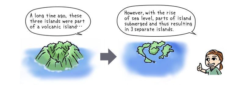However, the sea level rose, submerging parts of the islands. The result was three separate islands.